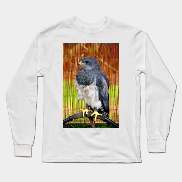 Chilean Eagle Black Chested Buzzard Long Sleeve T-Shirt by AndyEvansPhotos